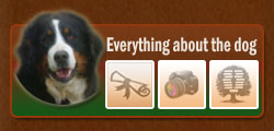 Personal page