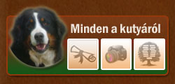 A kutya személyes oldala