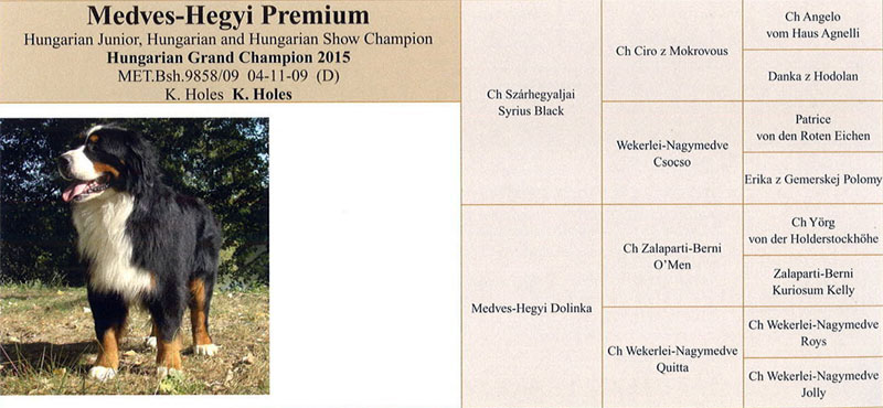 Medves-Hegyi Premium